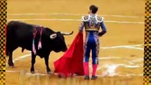 España contra la tauromaquia