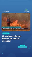 Ganaderos alertan intento de asfixia al sector