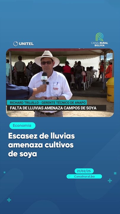 Escasez de lluvias amenaza cultivos de soya