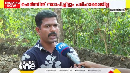 ഇടുക്കി മുള്ളരിങ്ങാട്ടെ കാട്ടാനശല്യത്തിന് പരിഹാരമായില്ല