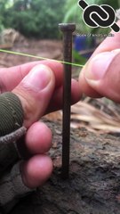 String Line Hitch - Very Very Simple #knotshort