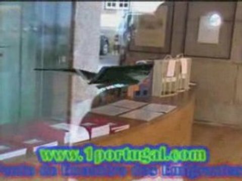 Solar dos Mateus - Vila Real - Traz os Montes - Portugal -