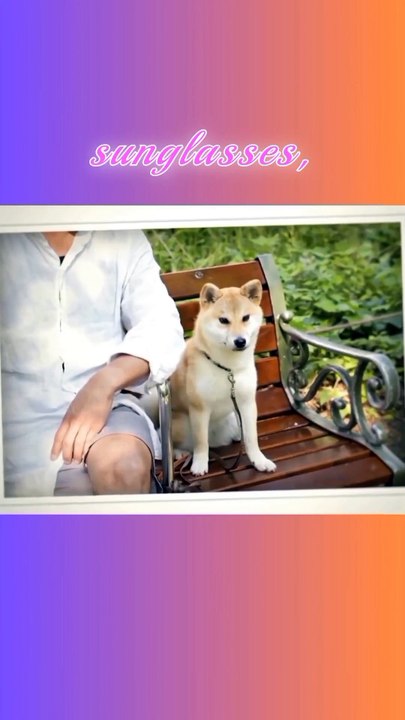 Blincam wearable camera, smart glasses / #trending #shorts #fyp #gadgets #machine #tools #technology