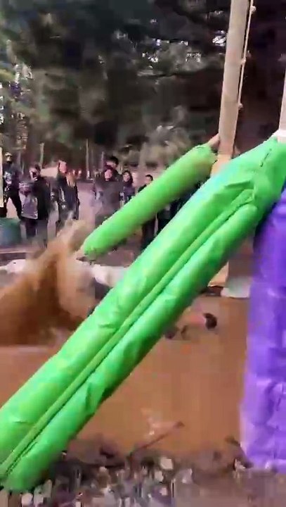 Field Day Challenge Ends in Miscalculation