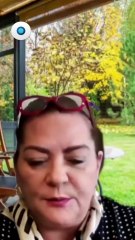 INE aprueba la impresión de boletas para la elección judicial I Reporte Indigo