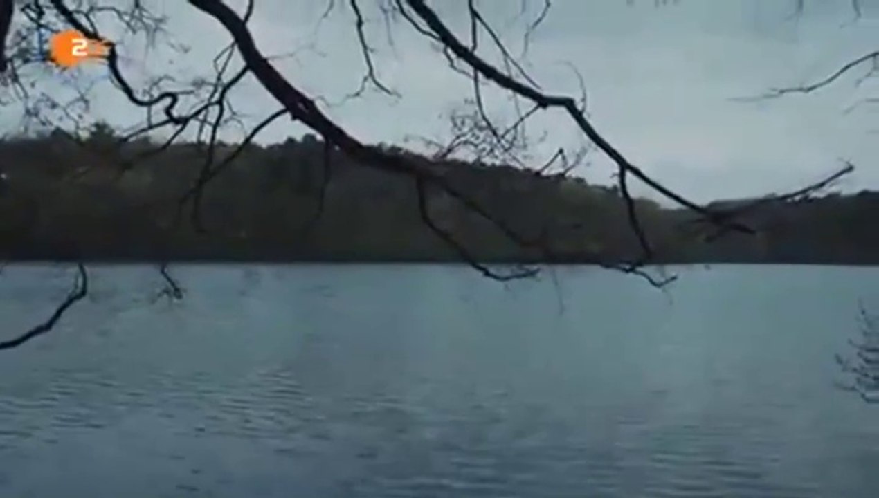 Ein starkes Team -62- Beste Freunde