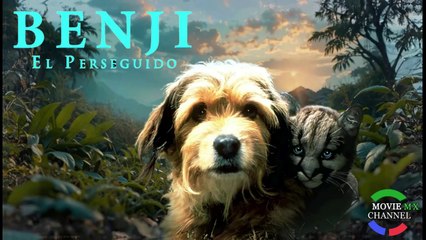 Benji en HD Latino 🎬 - Aventura Infantil para Toda la Familia