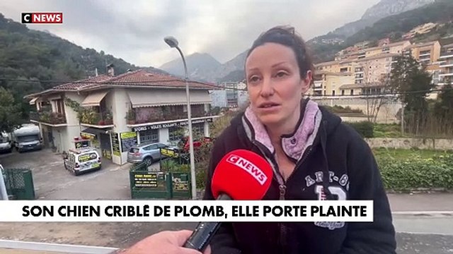 Son chien criblé de plomb, elle porte plainte