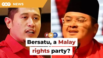 2 Bersatu Youth leaders at odds whether it is a Malay rights party