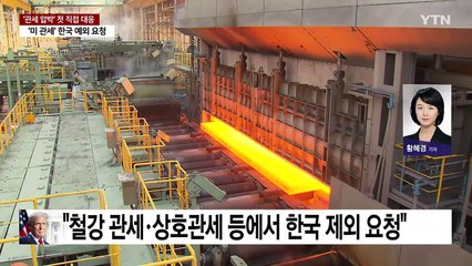 정부, 미국에 '관세조치에 한국 제외' 요청...산업부 장관 방미 추진 / YTN
