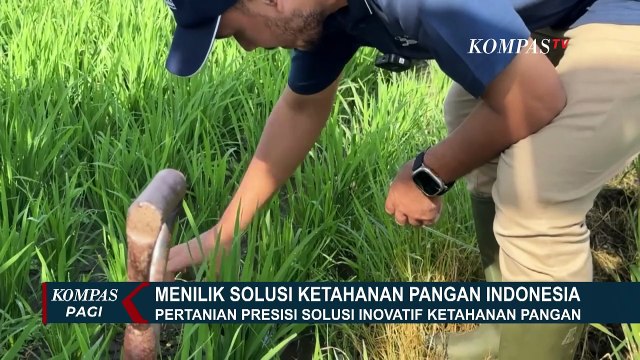 Pertanian Presisi Jadi Solusi Inovatif Ketahanan Pangan Indonesia, Sejauh Apa Langkah Pemerintah?