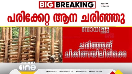 അതിരപ്പിള്ളിയിൽ മസ്തകത്തിന് പരിക്കേറ്റ കാട്ടാന ചരിഞ്ഞു