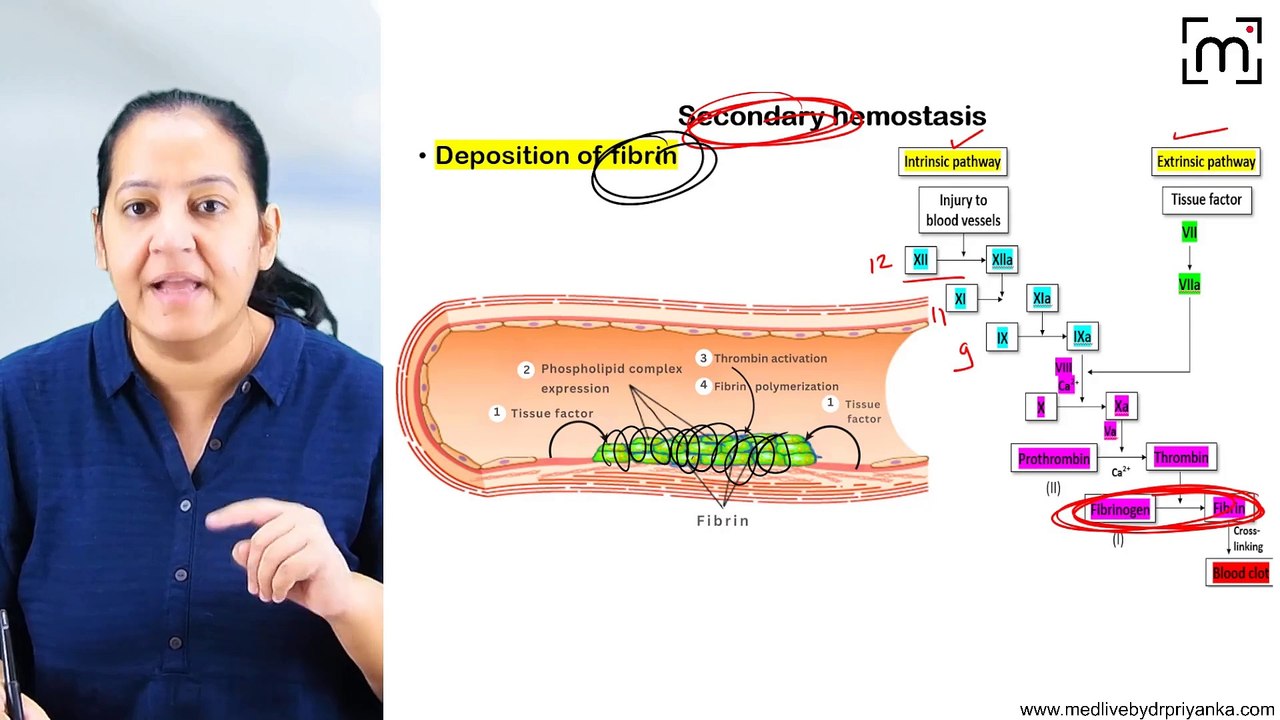 4. Coagulation Disorders_Hemophilia &Von williebrand's Disease