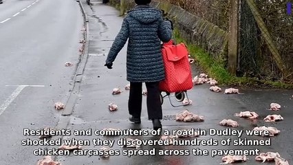 Express & Star Wolverhampton Morning Update 21 February, 2025