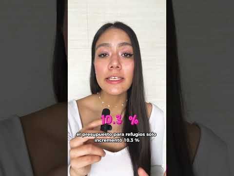 Obrador deja la presidencia y el presupuesto de refugios para mujeres no mejoró | Emma