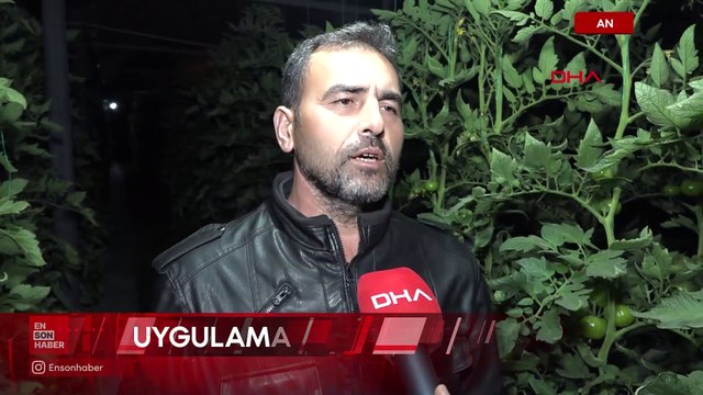 Antalya'da seralarda don ihtimaline karşı çiftçiler uygulama başında nöbet tuttu