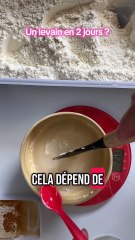 Il t’a fallut combien de temps avant que ton levain soit actif ? #levain