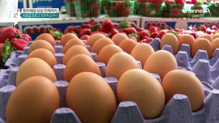 원자재 가격 폭등의 비밀