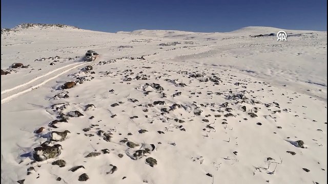 Hastaya paletli ambulansla ulaştılar