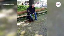 Un rottweiler ve a un anciano en el parque: lo que sucede después es difícil de creer (vídeo)