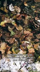 ¿Cómo combatir el trastorno afectivo estacional? I Emma NewsLetter