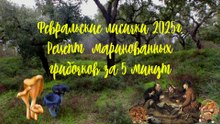 Февральские лисички 2025г.Рецепт маринованных грибочков за 5 минут.