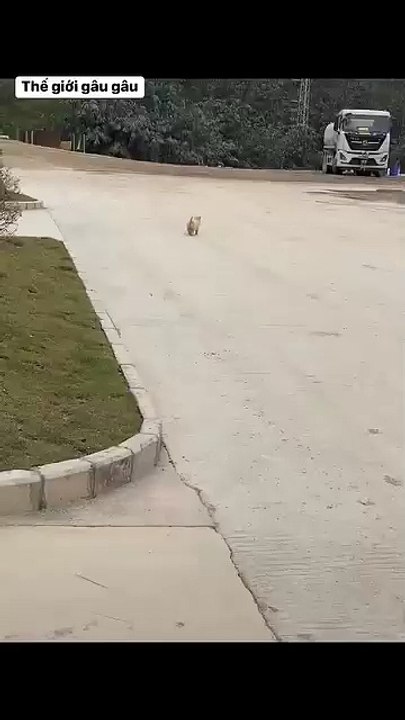 Little angel