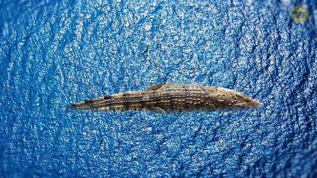 Shipwreck Trapped in Ice Discovered After Centuries