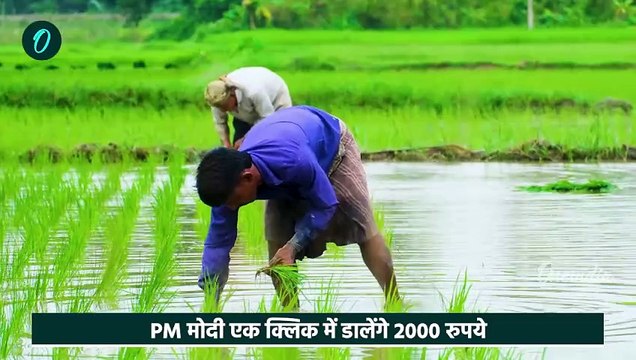 Kisan की PM Kisan Samman Nidhi Yojana की 19th installment में नाम चेक करें | Kisan Yojana | वनइंडिया
