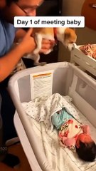 Dogs playing with kids funny