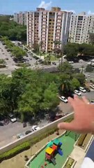 Prefeitura cede terreno de horta comunitária e gera revolta em moradores do Imbuí; vereador constesta