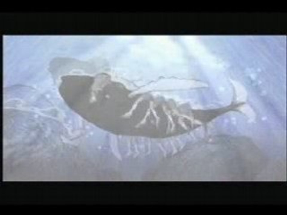 Greenpeace Man Whale Hunt Protection Baleines Chasse Japan