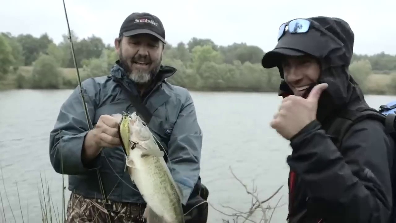 Pêche au leurre du bord : Techniques et stratégies (Brochet, Perche, Bass)