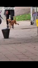 Mom just bought me new shoes 😝