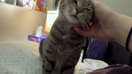 What A Gem 161 5 Lick lick lick goodnight