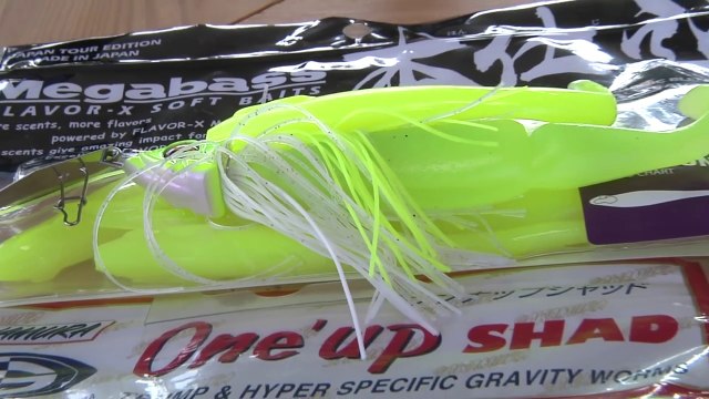 Le CHATTERBAIT, un leurre de pêche EXCEPTIONNEL !!! (brochet, sandre, perche, bass)