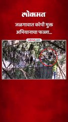 जळगावात कॉपी मुक्त अभियानाचा फज्जा...