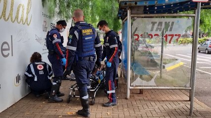 Doguinhos correm atrás da ambulância após resgate de tutor próximo à Catedral