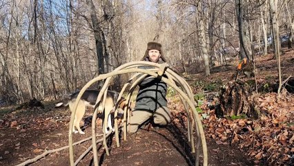 Building a High-Quality Shelter in the Forest – Ultimate Survival Skills 🌲🏕️