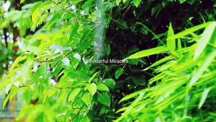 Rains raining in beautiful valleys