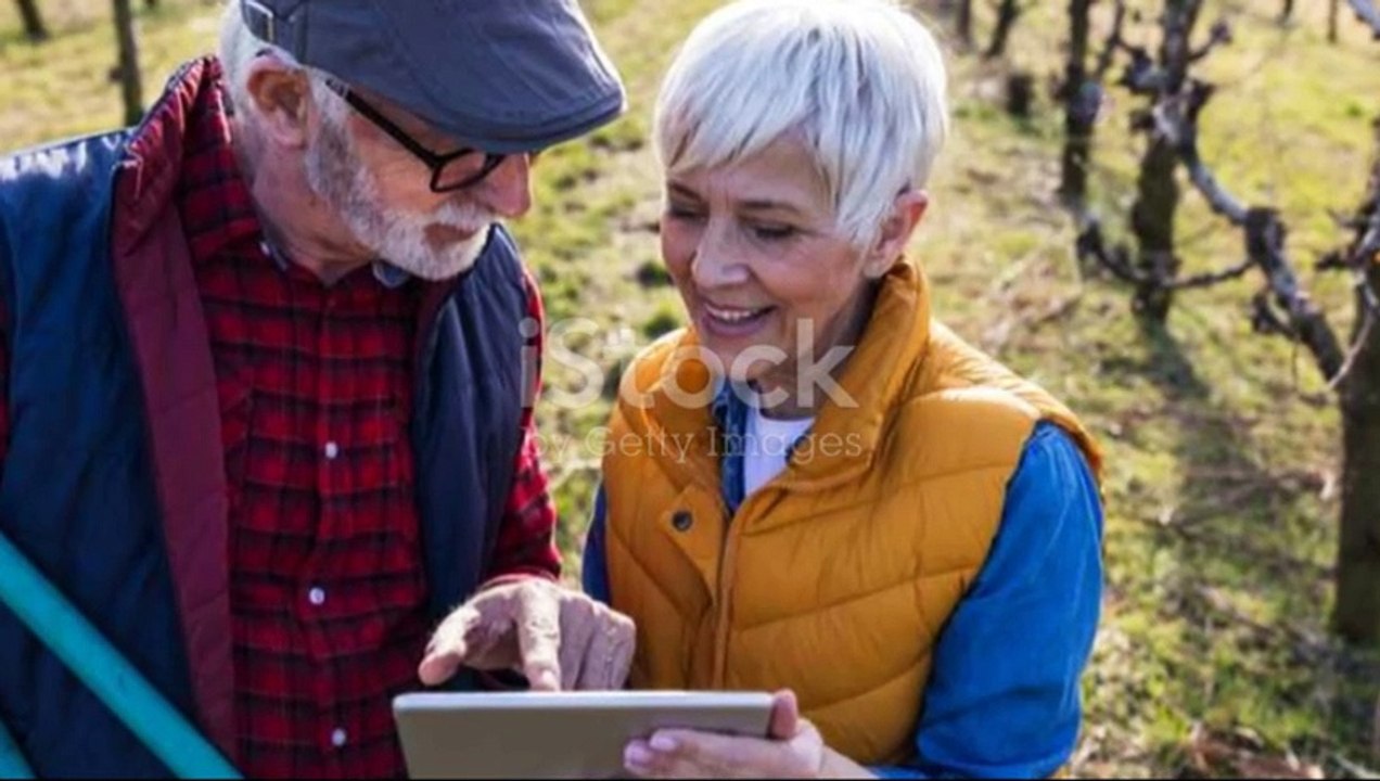 What is a Reverse Mortgage Explained with Personal Experience  Best Insurance Guide LearnLabs