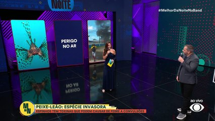 Peixe invasor é encontrado na Bahia e ameaça ecossistema marinho | Melhor da Noite