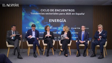 Mesa redonda energía declaraciones