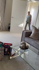Little boy meets baby sister but is more interested in his new toys