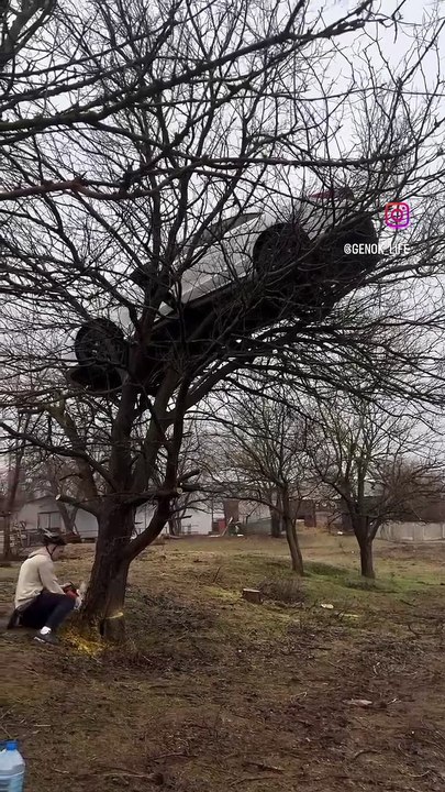 That takes real talent