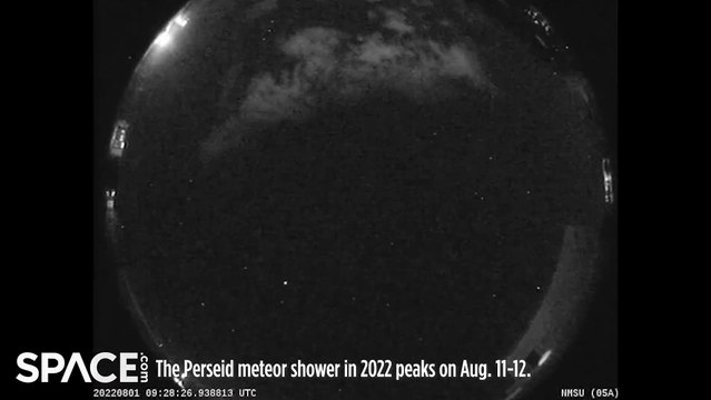 Perseid Meteors Via NASA’s All Sky Fireball Network Cameras