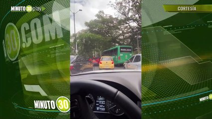 Caída de un árbol ha generado un fuerte impacto en la movilidad de la zona