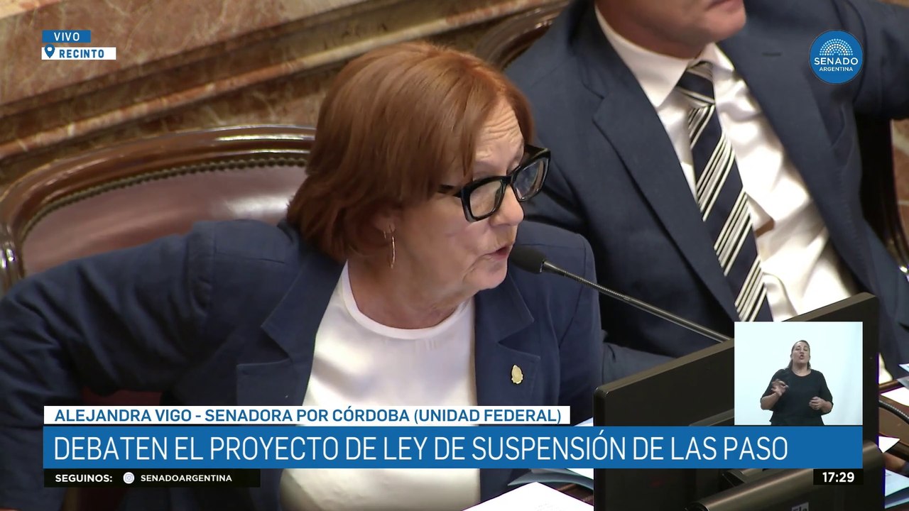 "Las PASO resuelven para la política, no para los ciudadanos": Vigo presentó el proyecto de suspensión de las PASO en el Senado