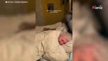 Video. Un cucciolo e una nonna si ritrovano in un letto: la scena incuriosisce 9 milioni di persone