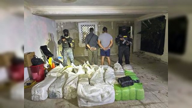 Incautan 989 libras de marihuana durante allanamientos